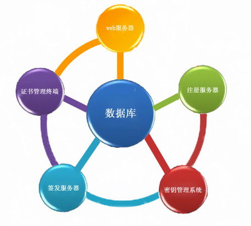 SRT1102身份認(rèn)證系統(tǒng) 構(gòu)建企業(yè)安全管理的堅(jiān)固基石