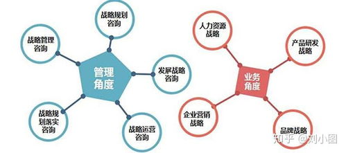 管理咨詢(xún) 企業(yè)的導(dǎo)航儀與加速器——兼論其與一般咨詢(xún)及軟件開(kāi)發(fā)的關(guān)聯(lián)